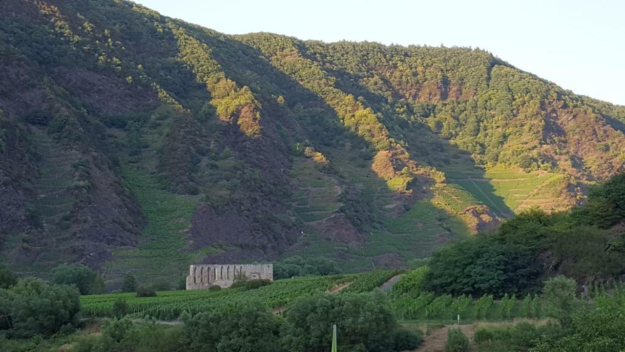 Zur Königslay Villa Bullay Dış mekan fotoğraf